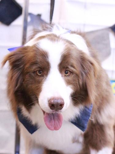 20230419ソイくん